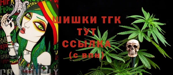 круглые Карпинск