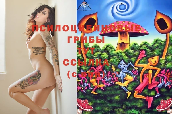 mix Касимов